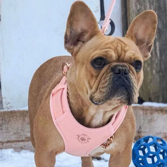 Candy Pink Leash & Harness Set