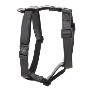 Dark Knight Harness