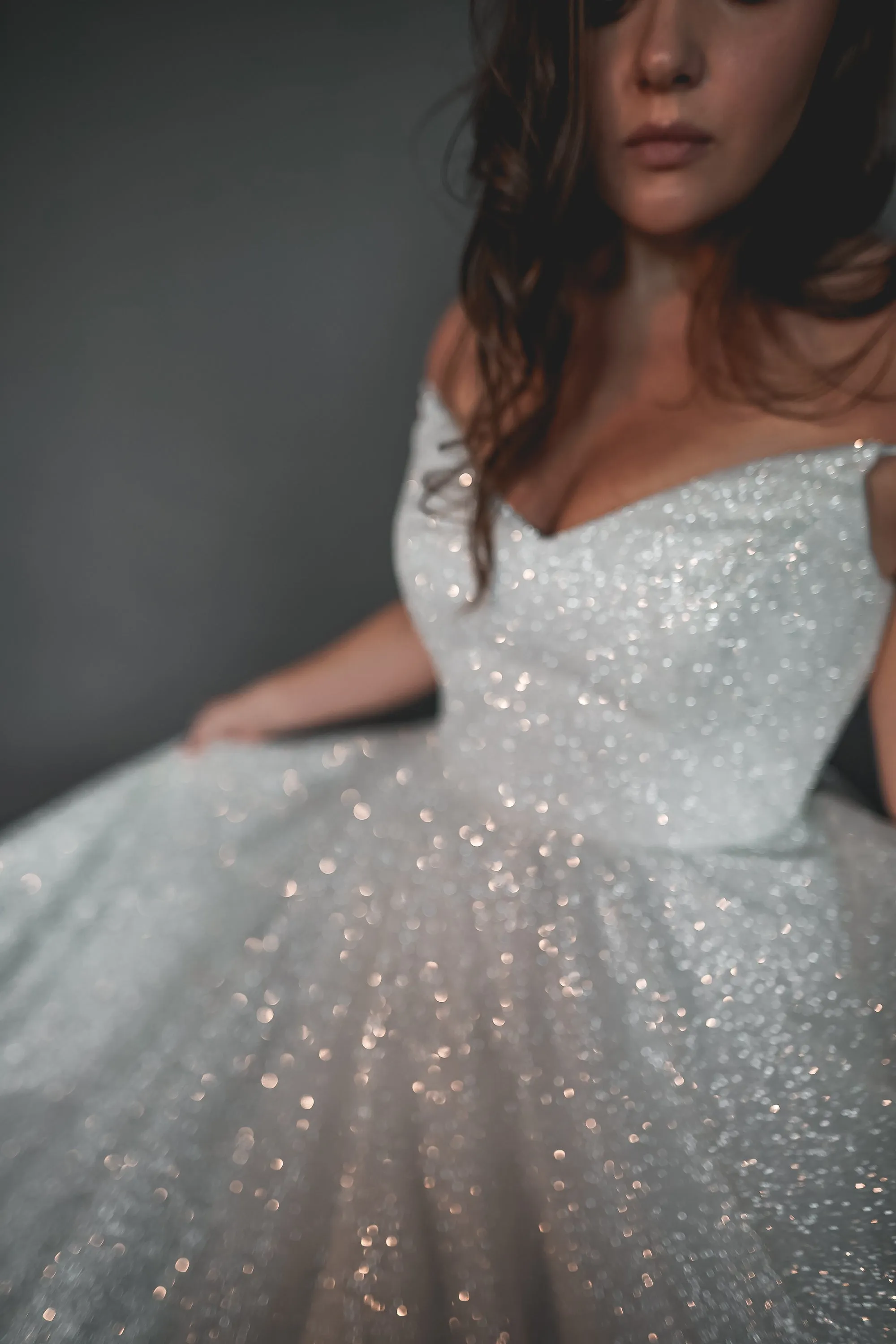 Plus Size Glitter Wedding Dress Heist