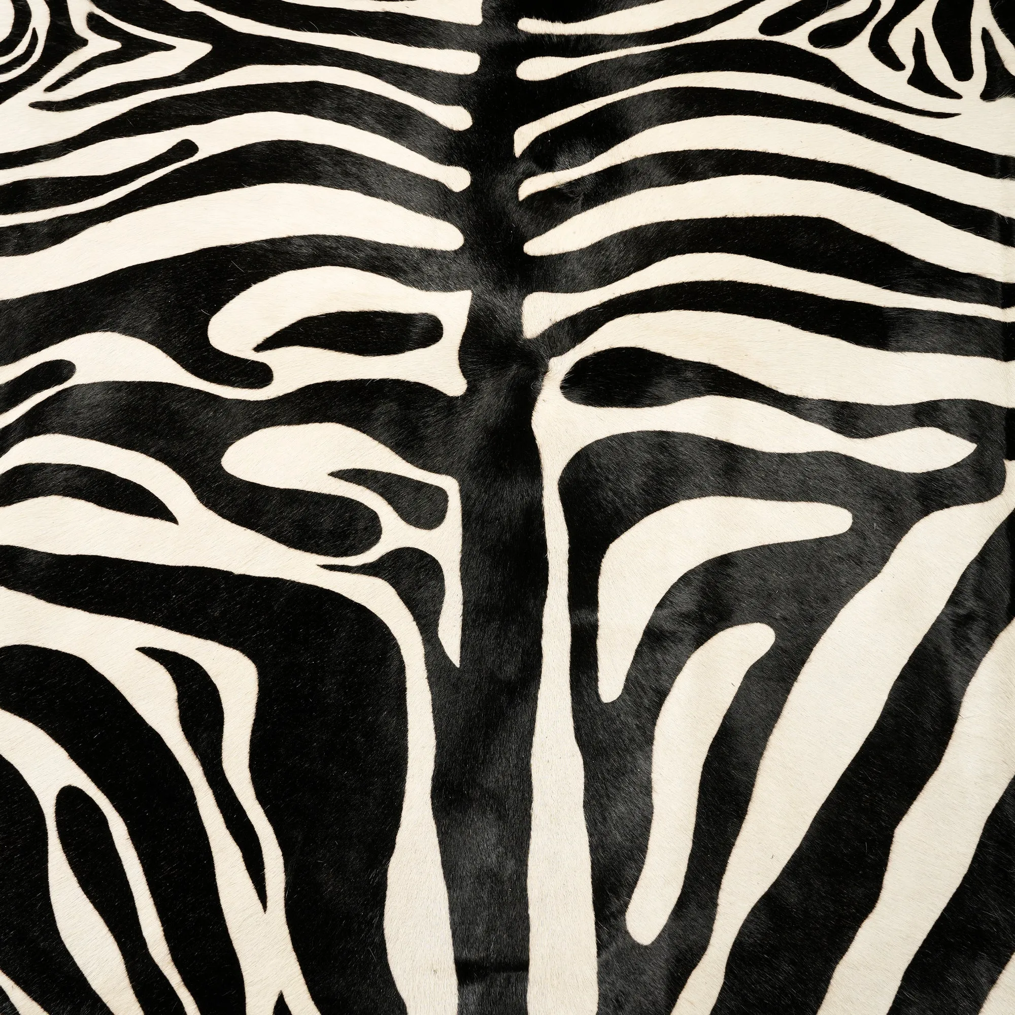 Zebra White & Black Rug